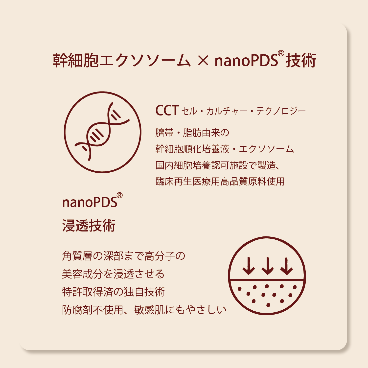 幹細胞エクソソーム